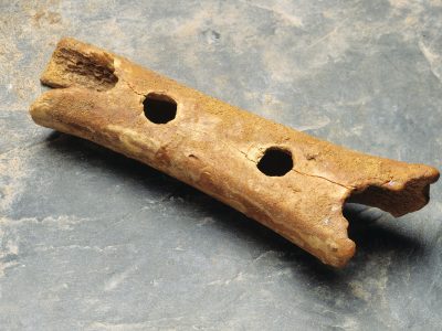 The Neanderthal Flute